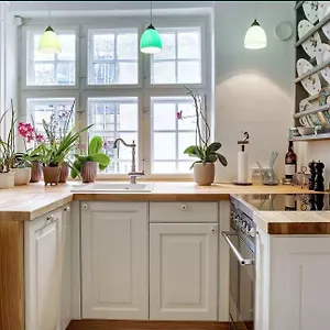 Danish Copenhague